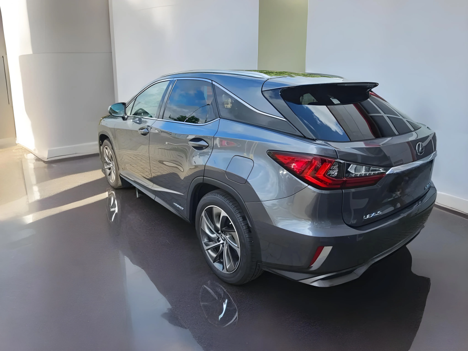 Lexus Seria RX 450h Luxury Line (2)