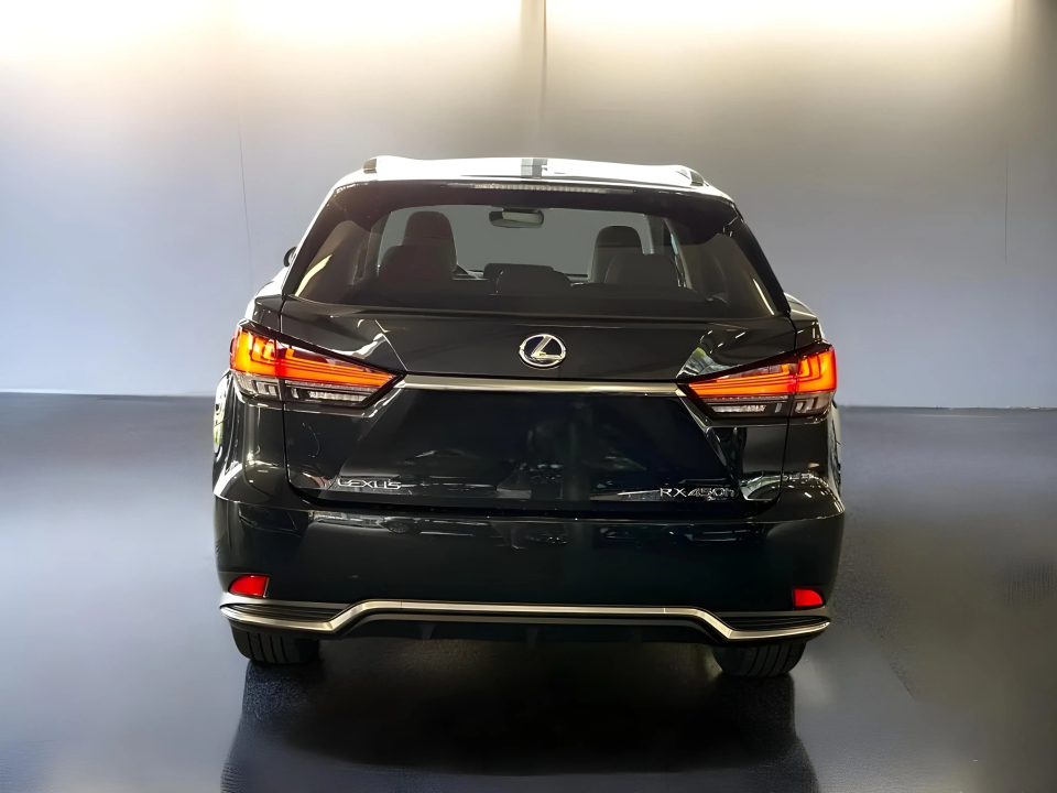 Lexus Seria RX 450h AWD Executive Line (4)