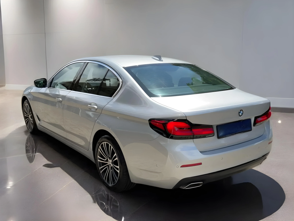 BMW Seria 5 530i xDrive - foto 6