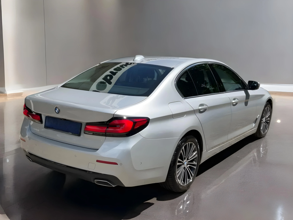 BMW Seria 5 530i xDrive (4)