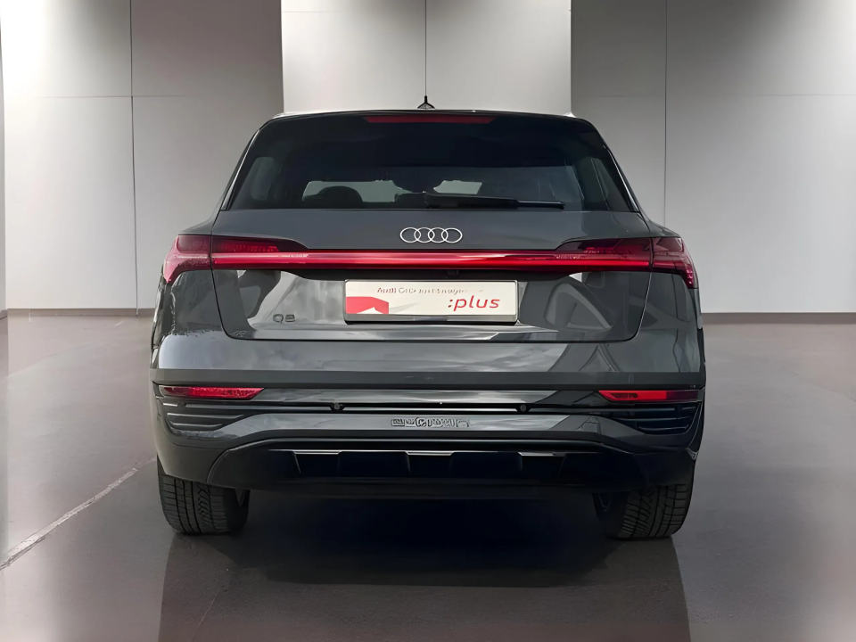 Audi Q8 e-tron 50 quattro (5)