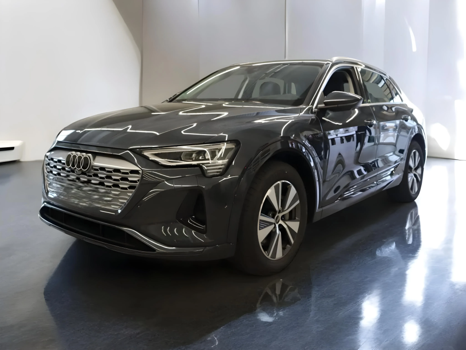 Audi Q8 e-tron advanced 50 e-tron quattro (1)