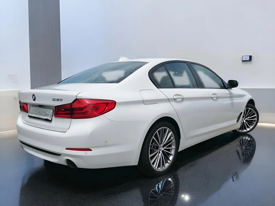 BMW Seria 5 530 i Sport Line Limuzina (2)