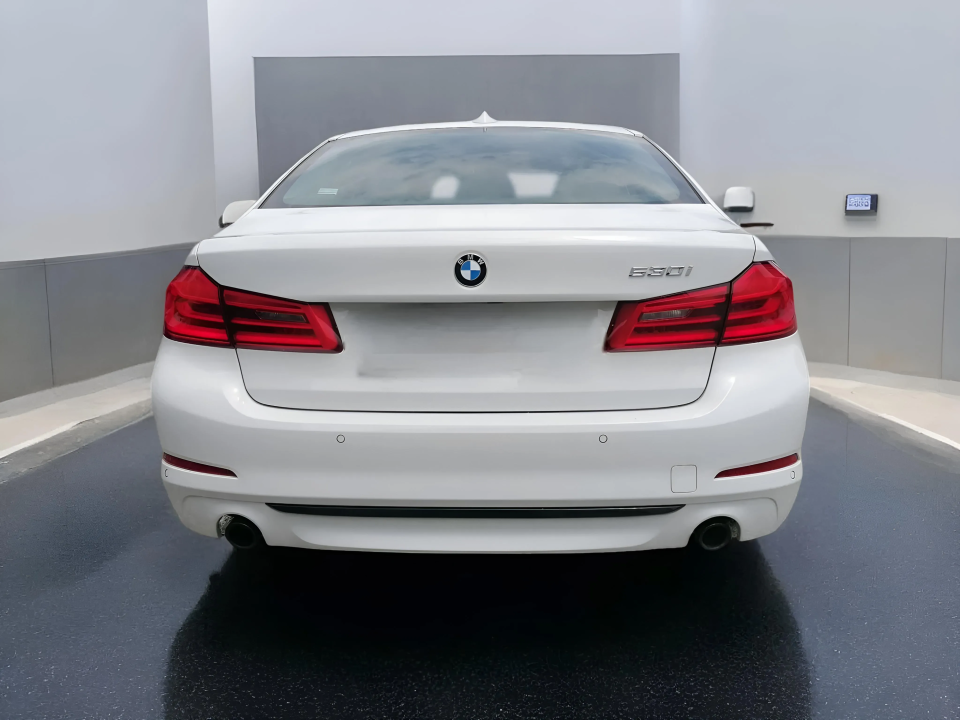 BMW Seria 5 530 i Sport Line Limuzina (3)