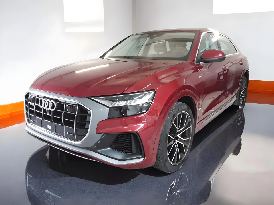 Audi Q8 S-LINE 55 TFSI HYBRID (4)