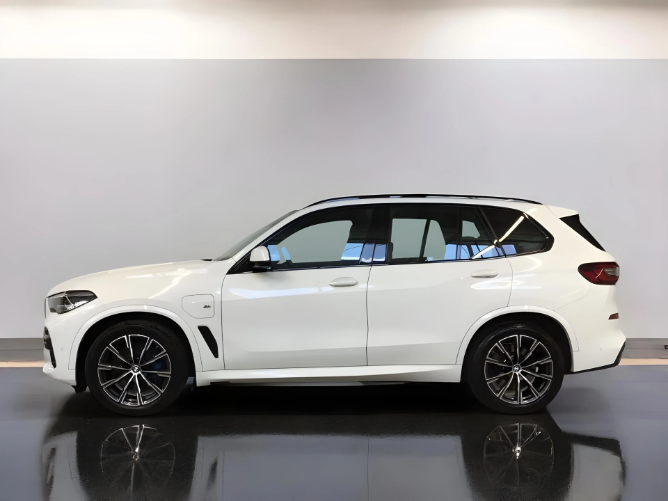 BMW X5 XDRIVE45E (2)