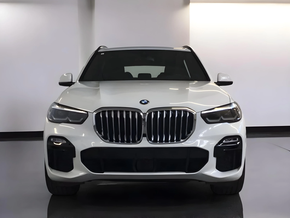 BMW X5 XDRIVE45E (5)