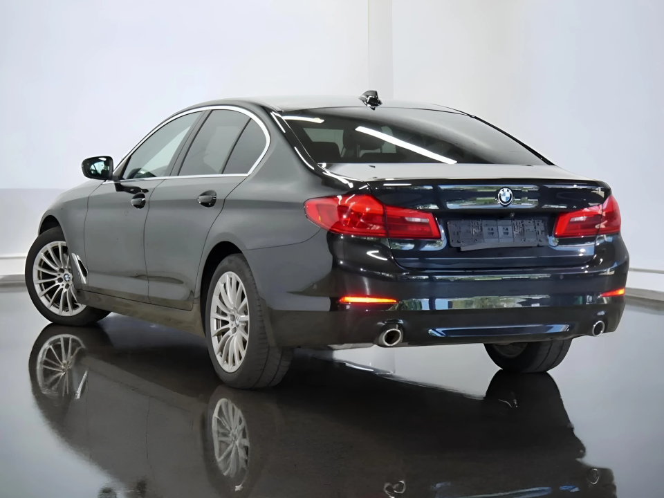 BMW Seria 5 520i (2)