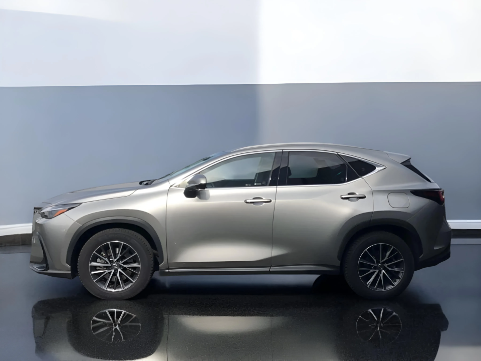 Lexus Seria NX 450 h+ EXECUTIVE (5)