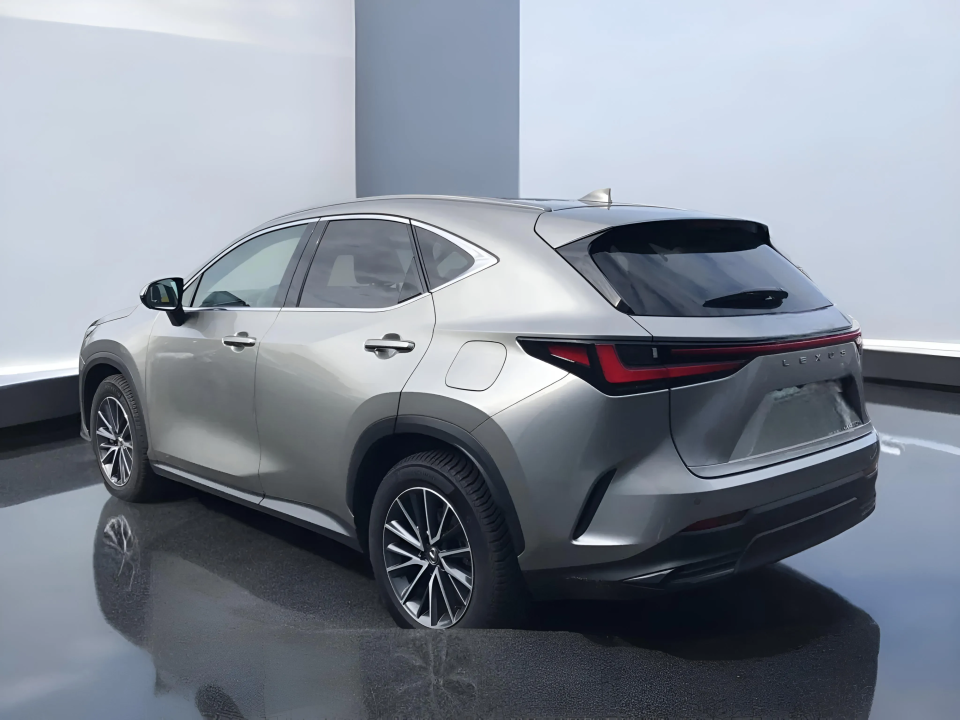 Lexus Seria NX 450 h+ EXECUTIVE (4)