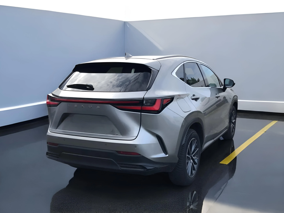 Lexus Seria NX 450 h+ EXECUTIVE (3)