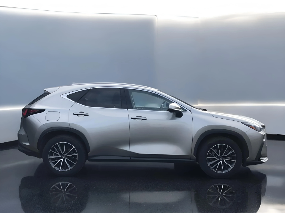 Lexus Seria NX 450 h+ EXECUTIVE (2)