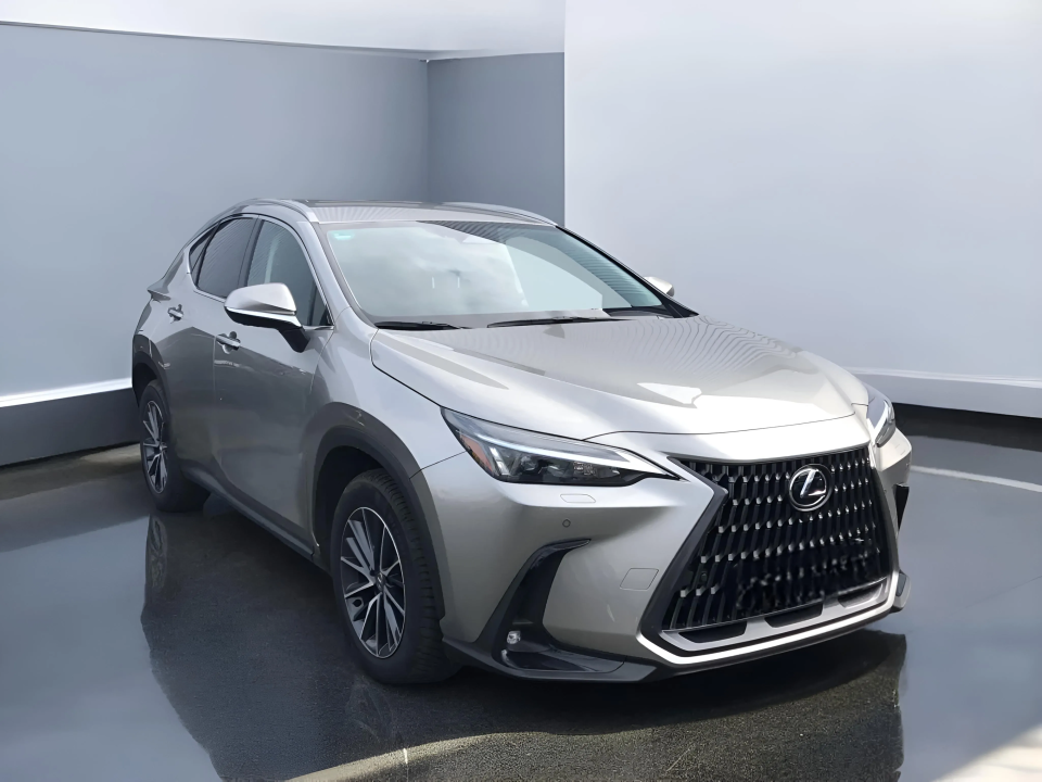 Lexus Seria NX 450 h+ EXECUTIVE (1)