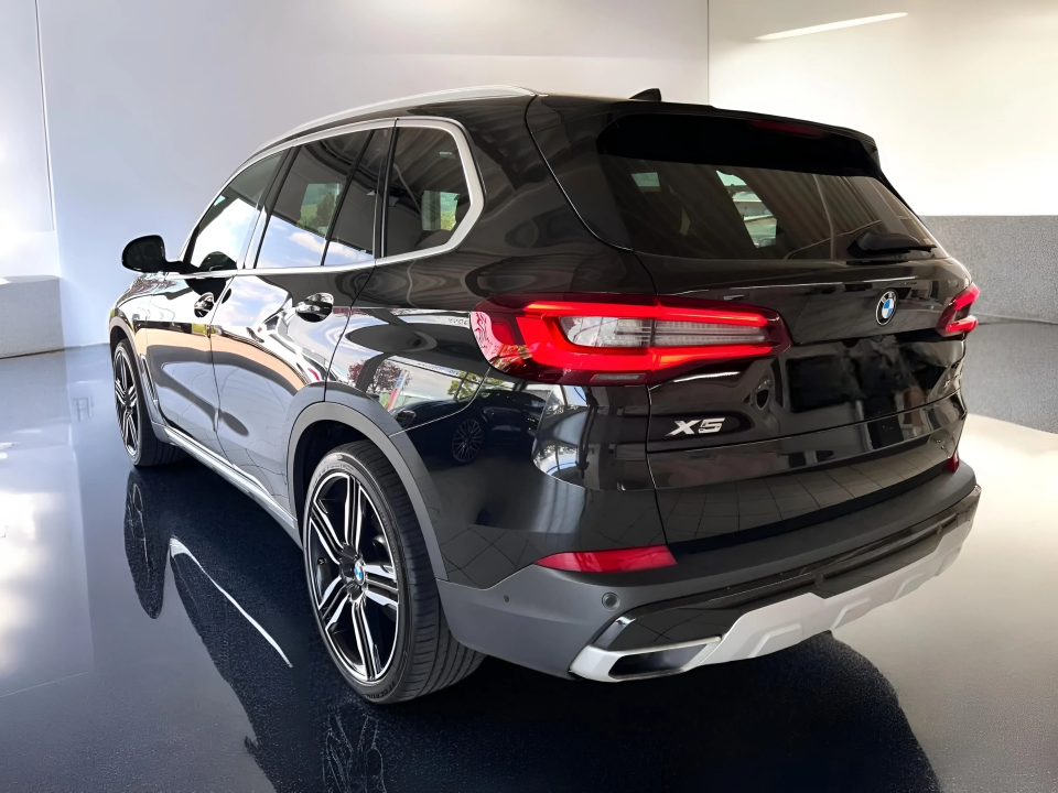 BMW X5 xDrive 40d xLine (3)