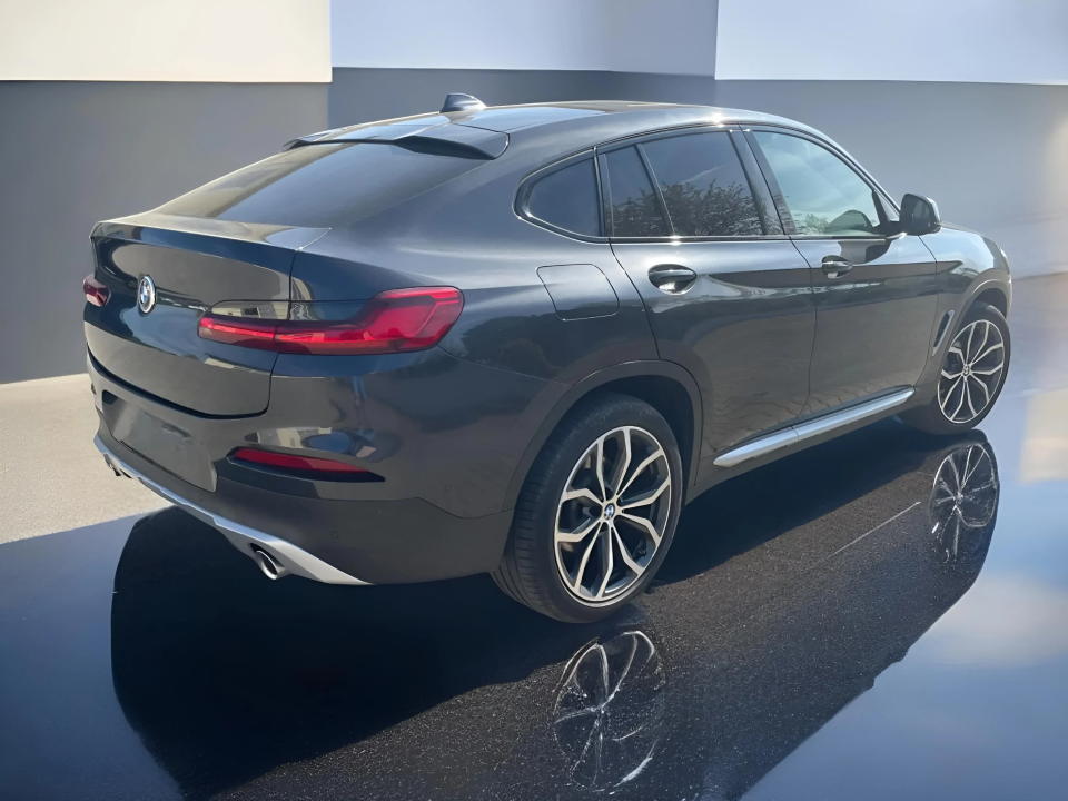 BMW X4 xDrive25d xLine (3)