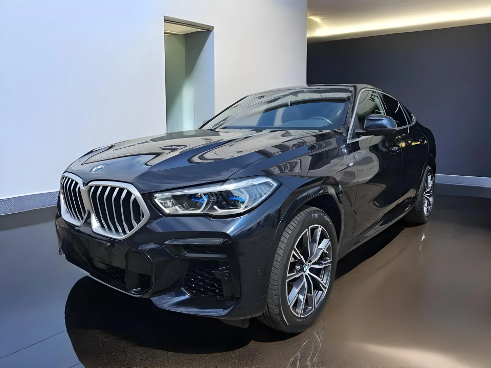 BMW X6 XDRIVE40D (4)