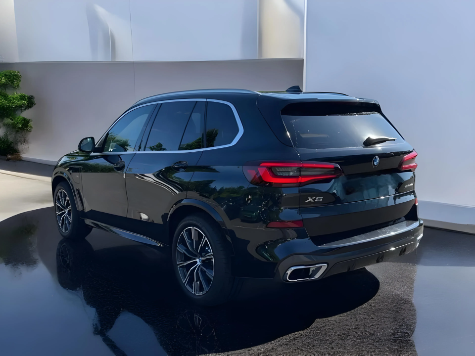 BMW X5 xDrive45e (4)