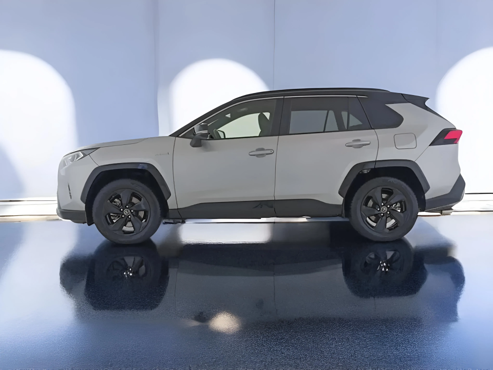 Toyota RAV4 Hybrid 2.5 AWD Style (3)