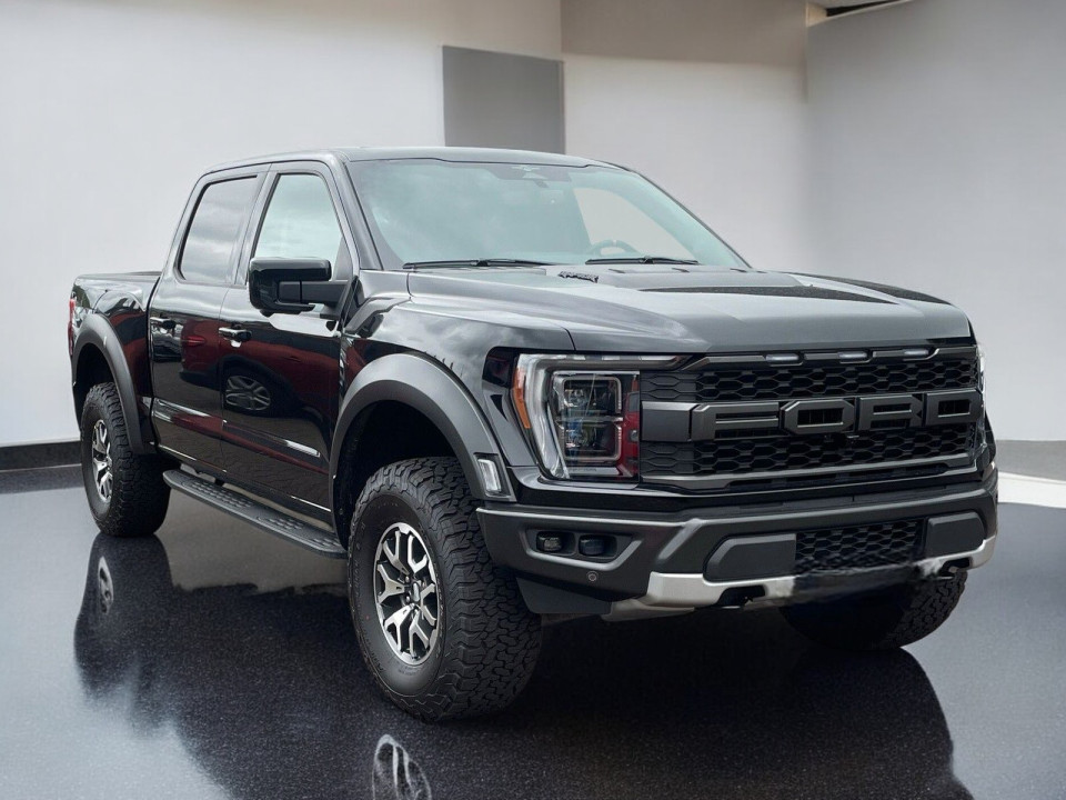 Ford F150 RAPTOR 3.5 V6 (1)