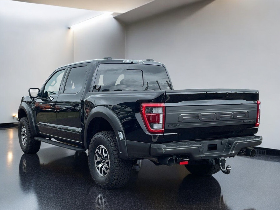 Ford F150 RAPTOR 3.5 V6 (5)