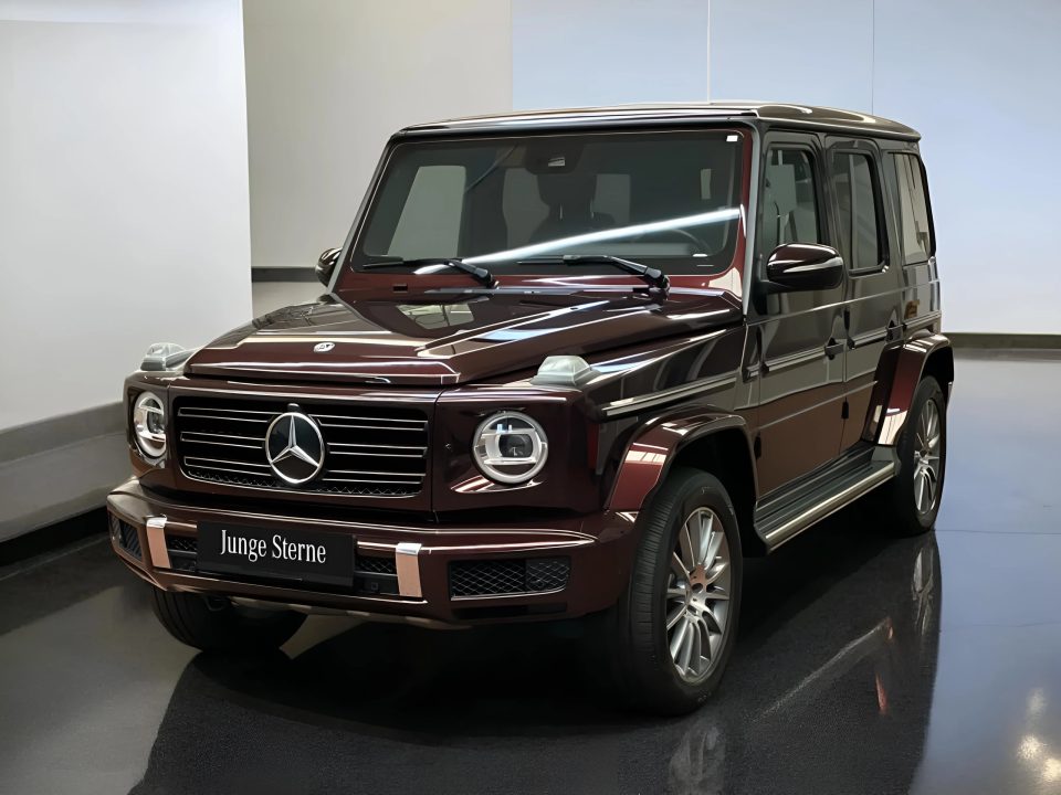 Mercedes-Benz G 350d (3)