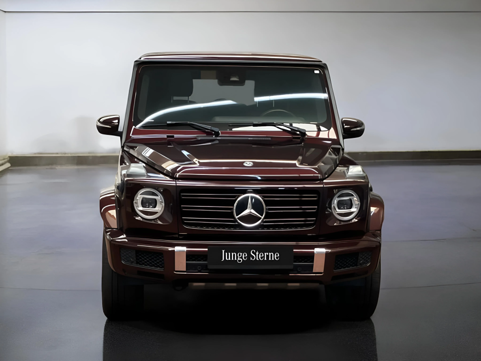 Mercedes-Benz G 350d (2)