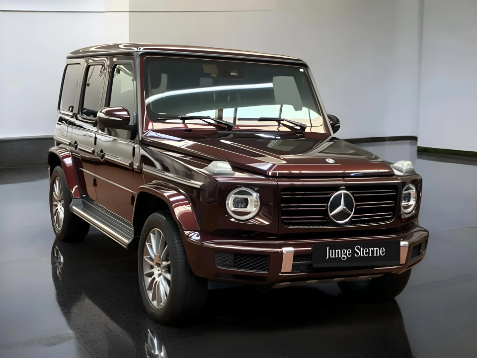 Mercedes-Benz G 350d (1)