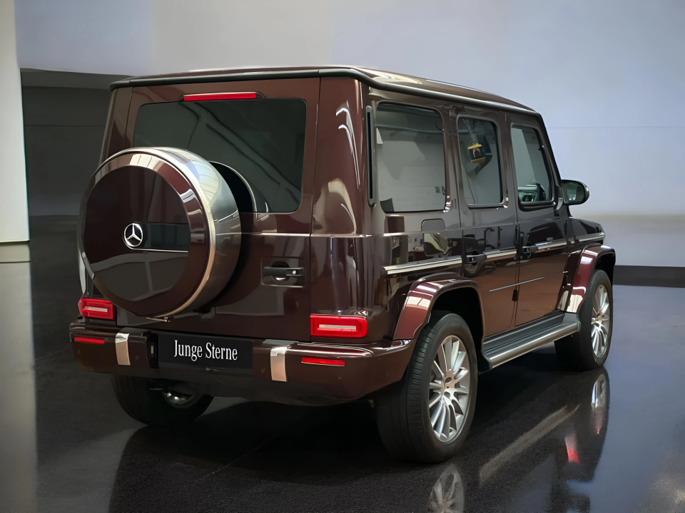 Mercedes-Benz G 350d (4)