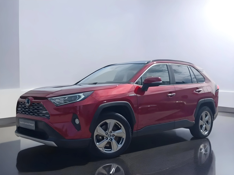 Toyota RAV4 Hybrid 2.5 AWD Lounge (1)