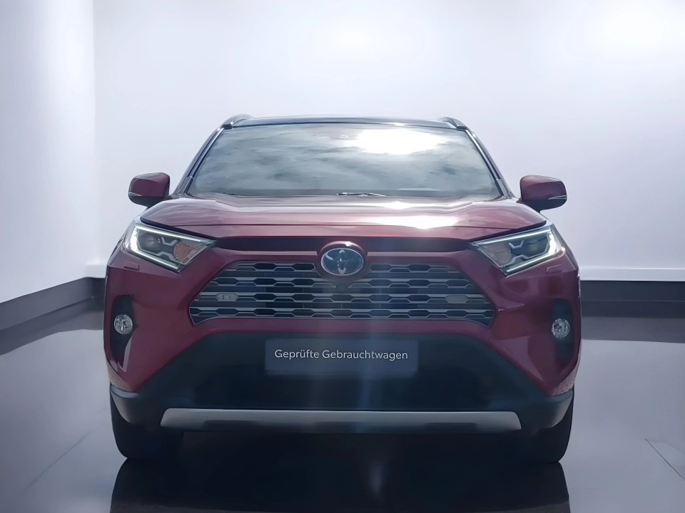 Toyota RAV4 Hybrid 2.5 AWD Lounge (2)