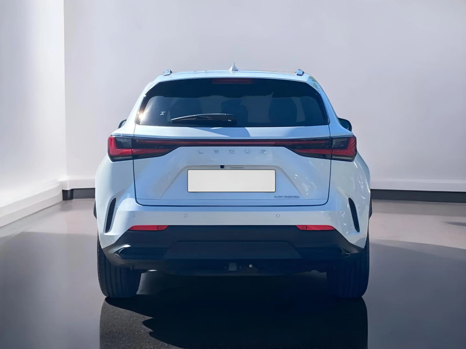 Lexus Seria NX 350h AWD Executive Line (4)