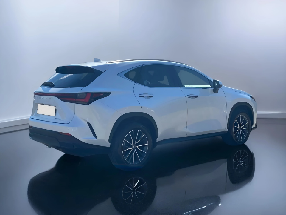 Lexus Seria NX 350h AWD Executive Line (3)