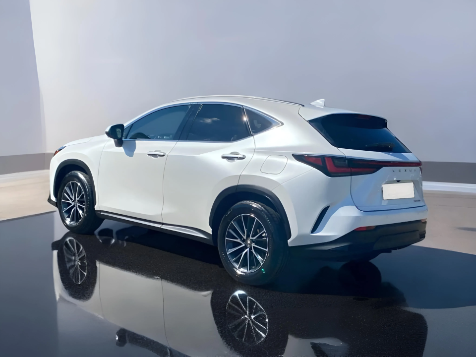 Lexus Seria NX 350h AWD Executive Line (5)