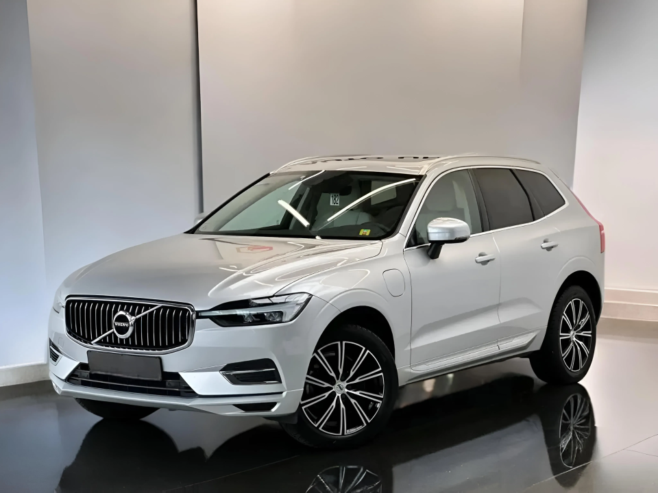 Volvo XC 60 T8 Recharge AWD Business Executive (3)