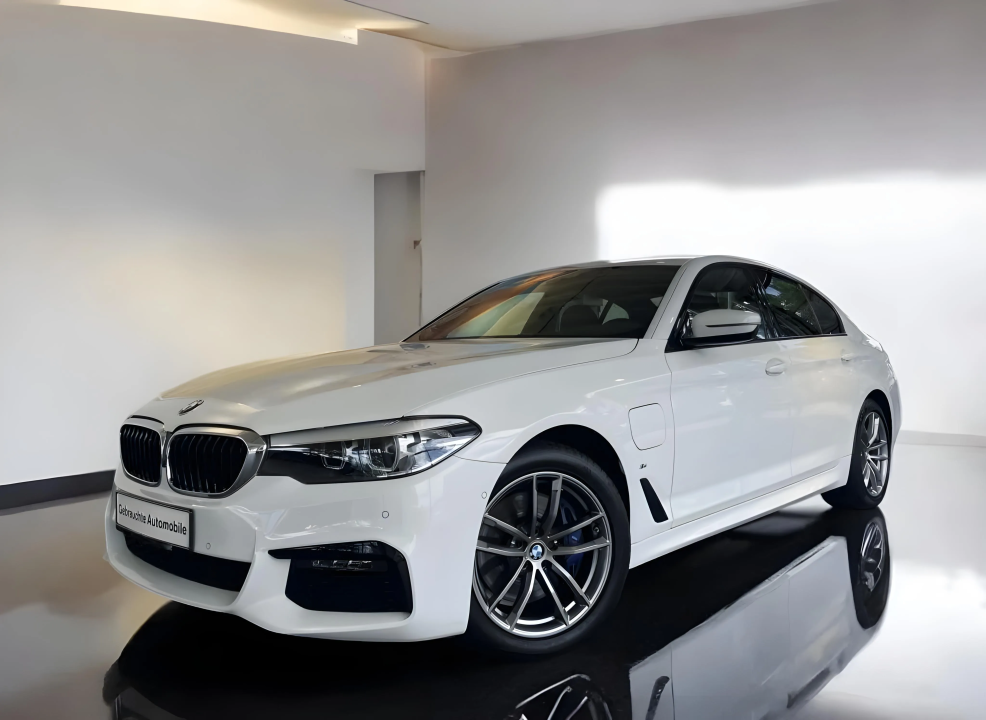 BMW Seria 5 530e M-Sport (3)