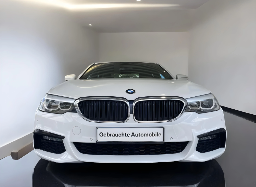 BMW Seria 5 530e M-Sport (2)