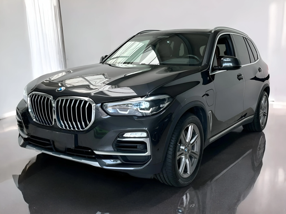 BMW X5 xDrive45e xLine (4)