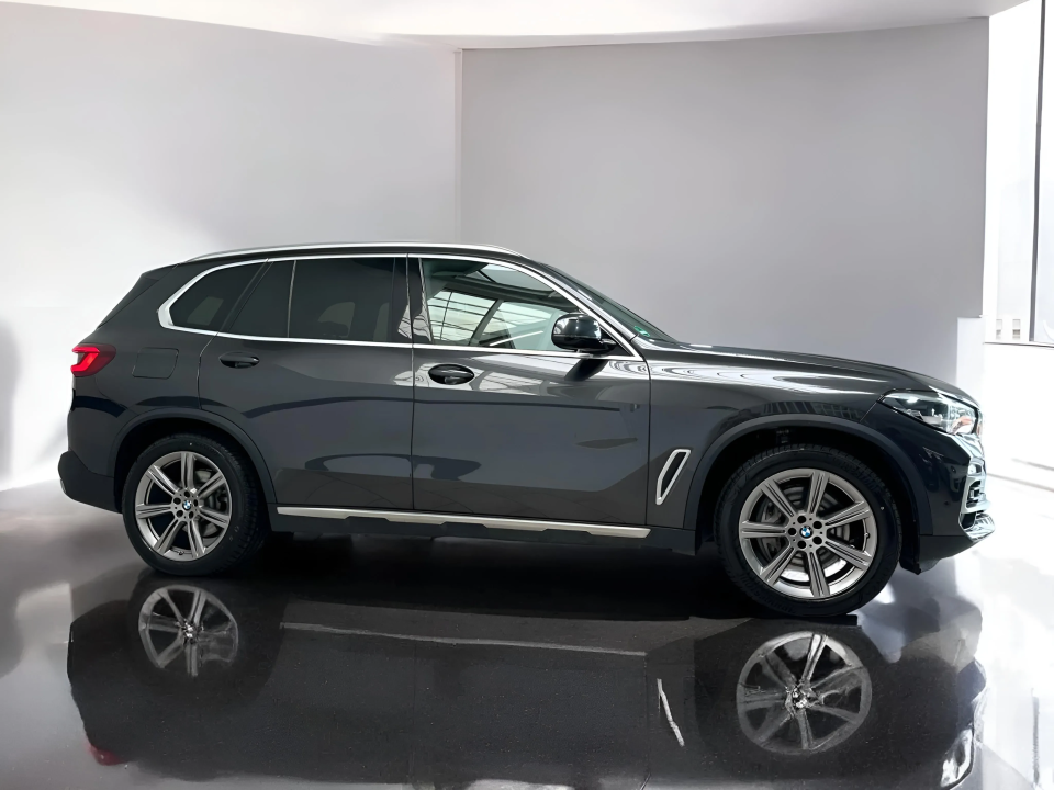 BMW X5 xDrive45e xLine (2)