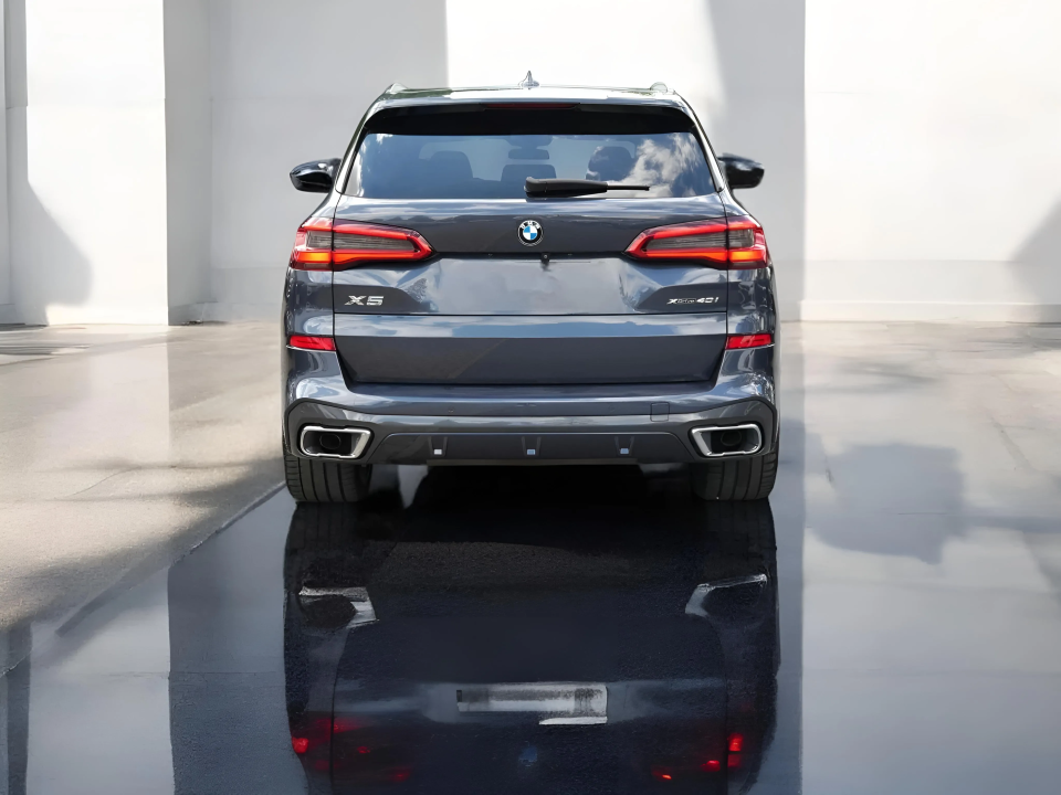 BMW X5 xDrive40i M-Sport (4)