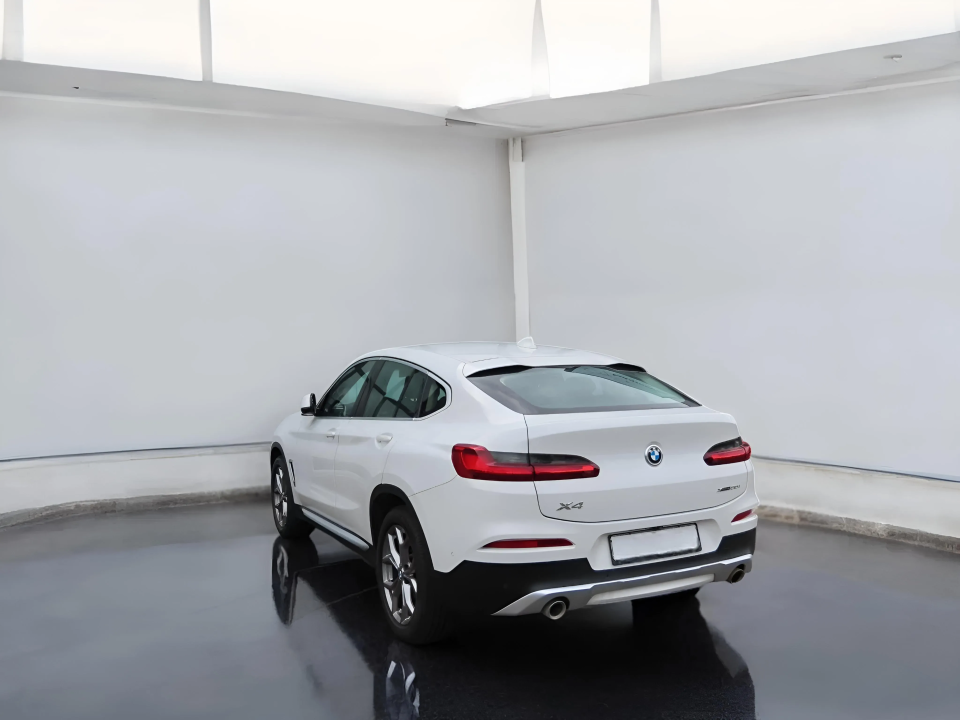 BMW X4 xDrive30i xLine (5)