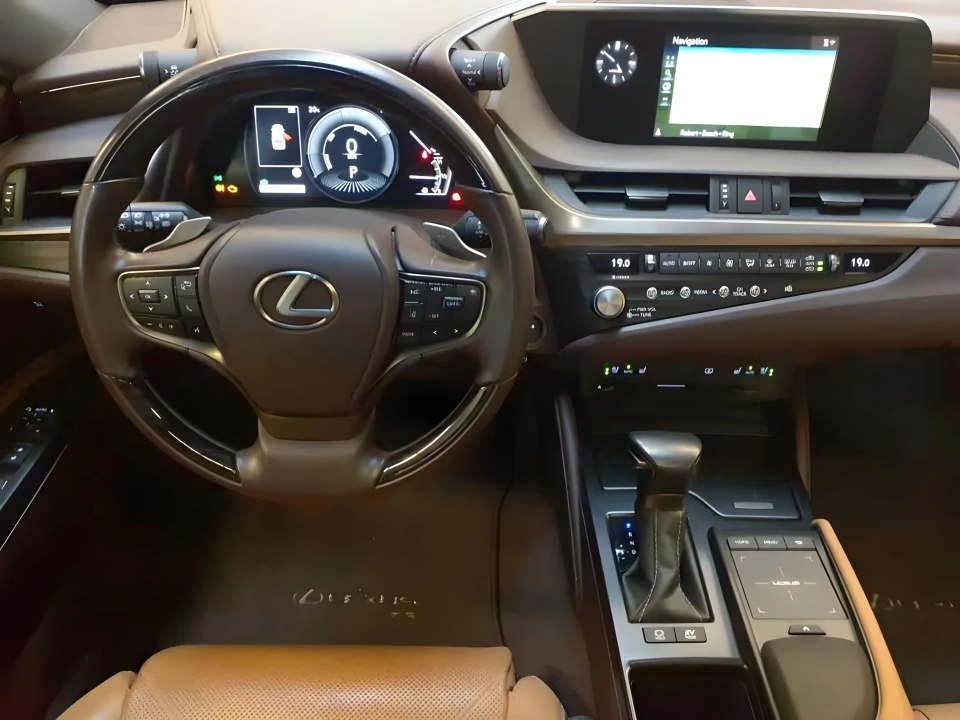 Lexus Seria ES 300h Business Line (4)