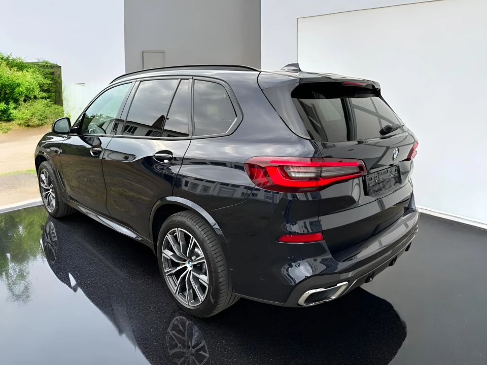 BMW X5 xDrive 40 d M (3)