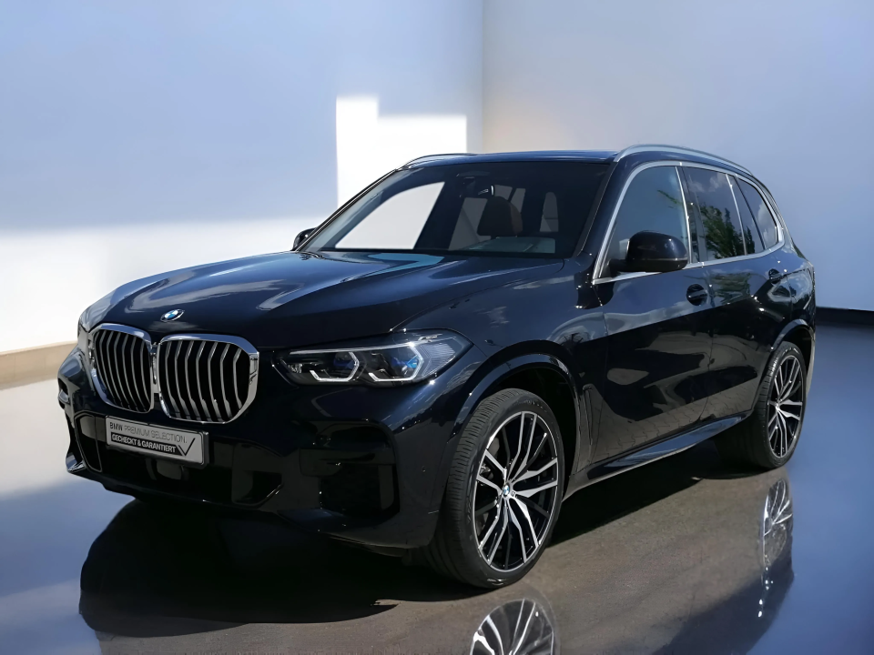 BMW X5 xDrive40i M-Sport (1)