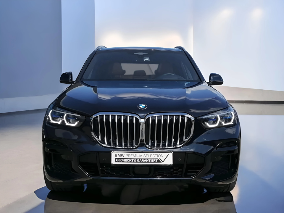 BMW X5 xDrive40i M-Sport (3)