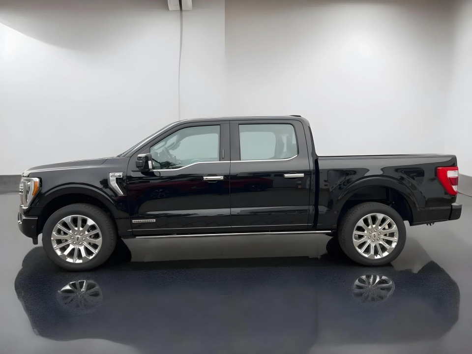 Ford F150 Limited (5)