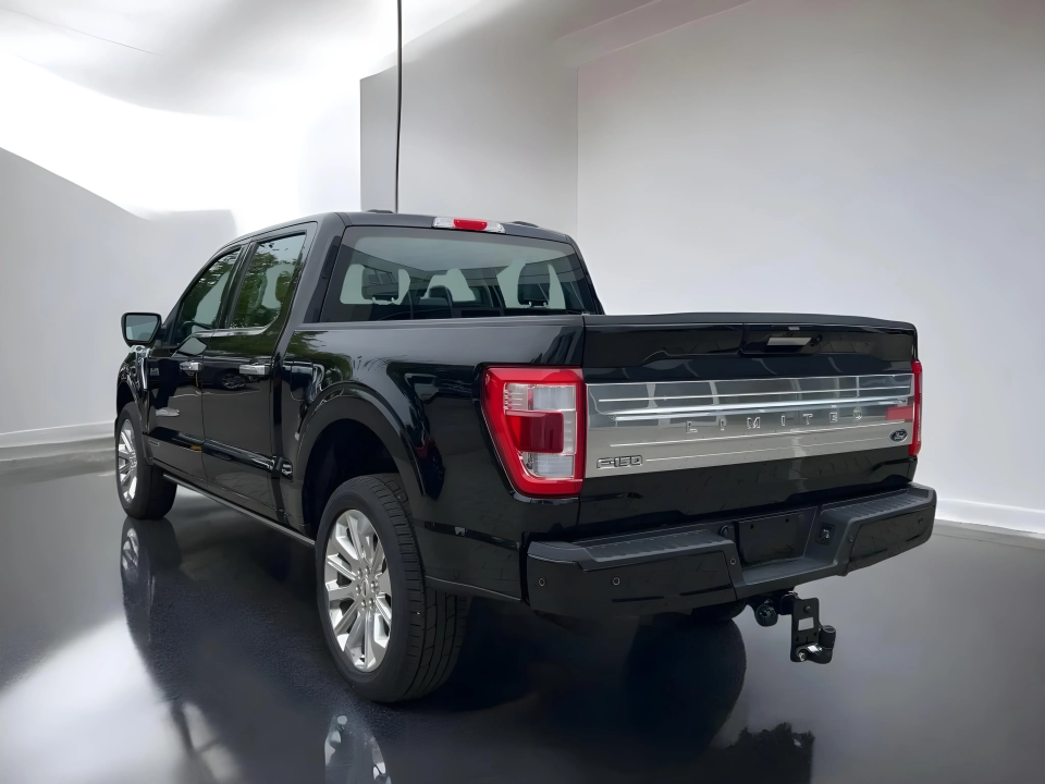 Ford F150 Limited (4)