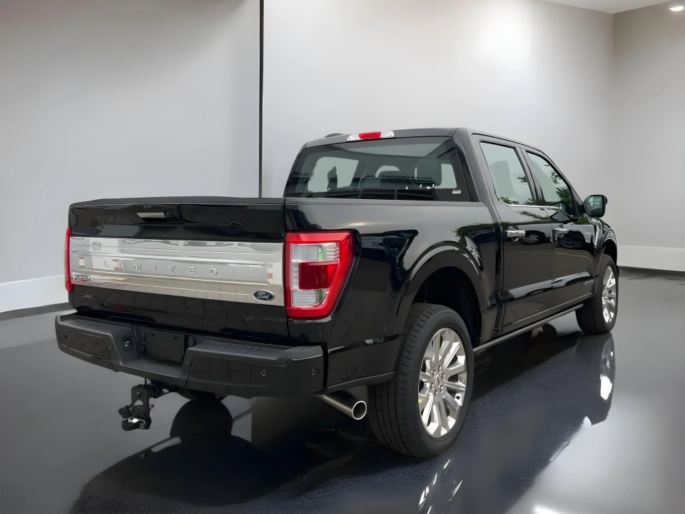 Ford F150 Limited (3)