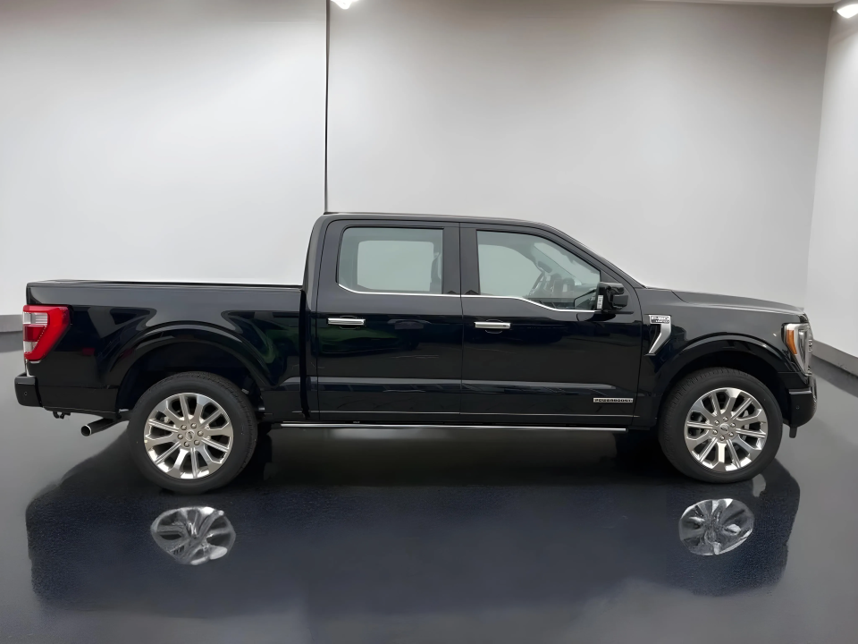 Ford F150 Limited (2)