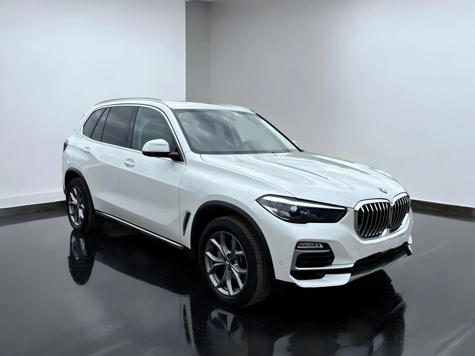 BMW X5 xDrive30d xLine (2)