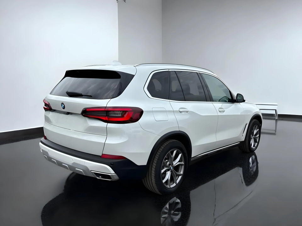 BMW X5 xDrive30d xLine (3)